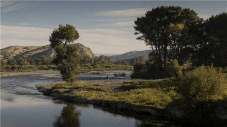 Banner Picture